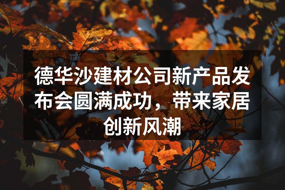 德华沙新产品发布会现场热烈气氛